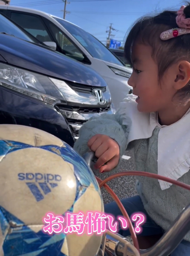 しかし、お馬が怖いという妹