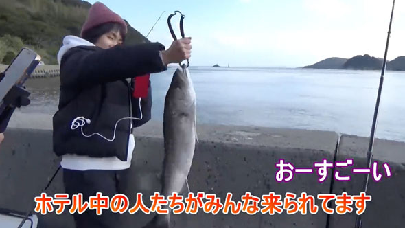 カバのような力を持つ巨大魚