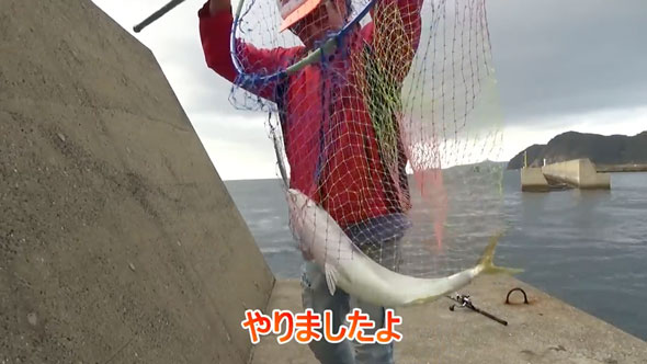カバのような力を持つ巨大魚