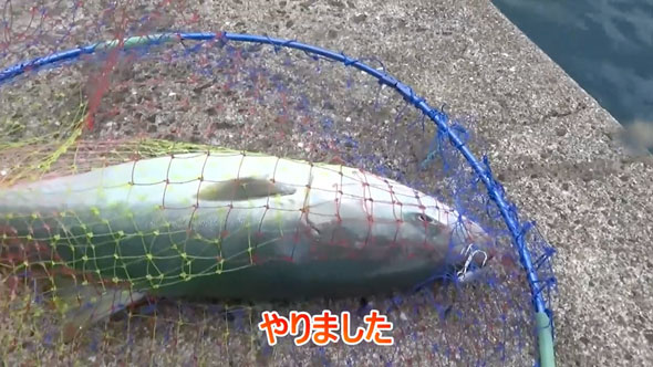カバのような力を持つ巨大魚