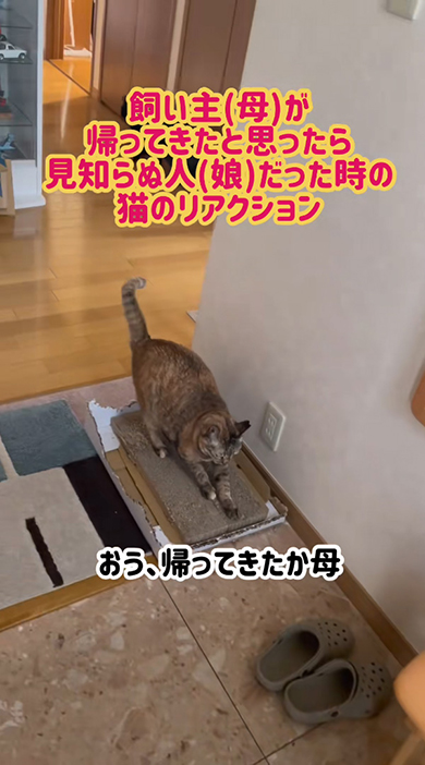 帰ってきたか母