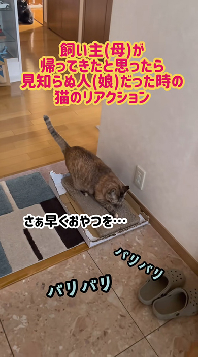 さぁ早くおやつを