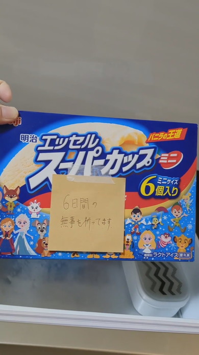 アイスクリームが入った冷凍庫