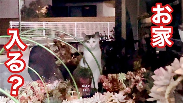 おすすめ