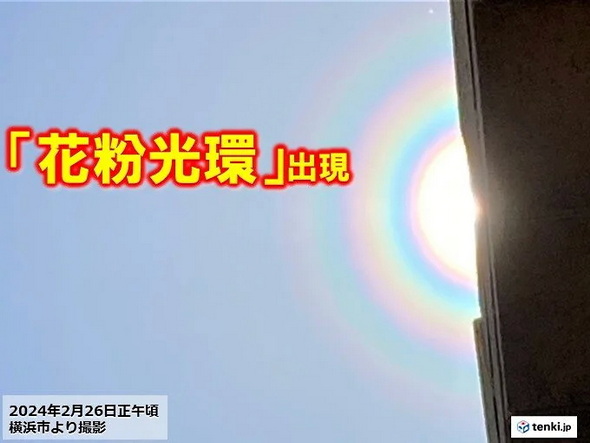 花粉光環