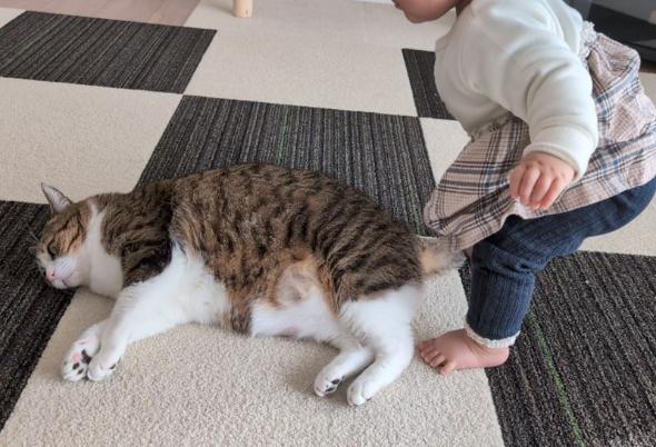 おすすめ