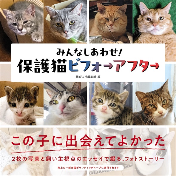 保護猫ビフォーアフター