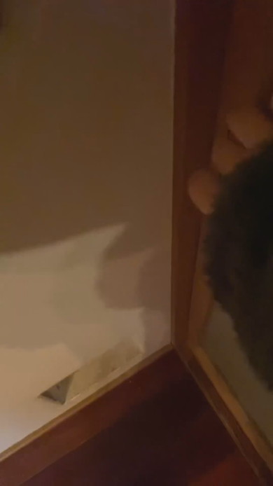 引き戸を開ける女性