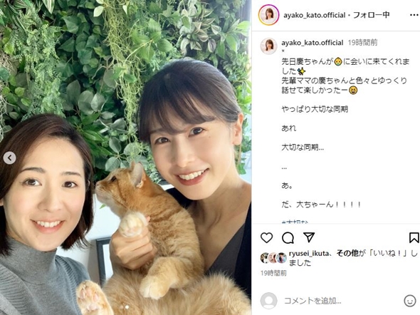 椿原慶子と加藤綾子