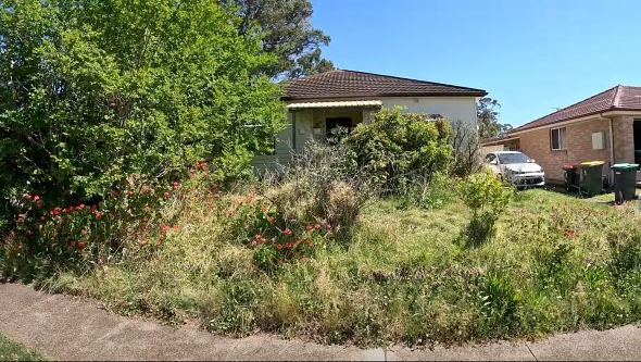 雑草 ガーデニング 芝生