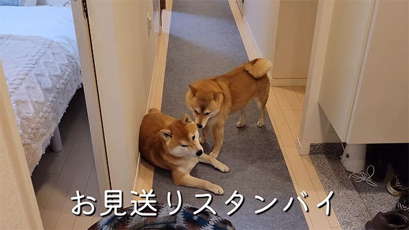 お見送りスタンバイ