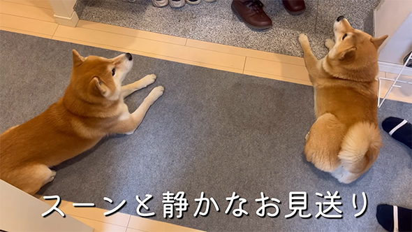 静かなお見送り