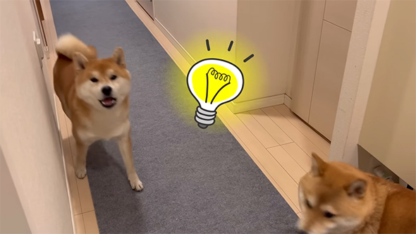 電球マーク