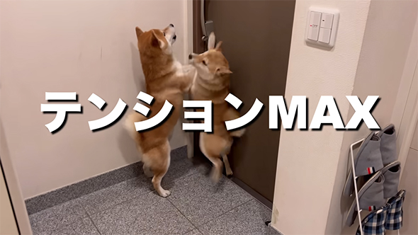 テンションMAX