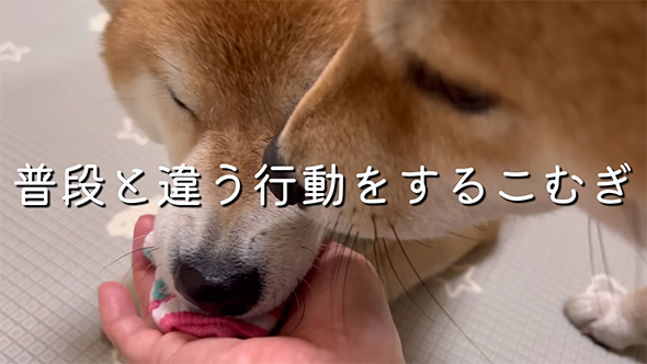 普段と違う行動をする
