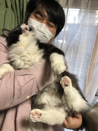 男性に抱っこされて嫌そうな顔をする猫ちゃん