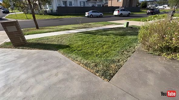 クリーニング 庭掃除 大掃除