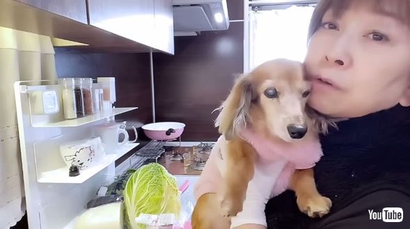 大場久美子と愛犬