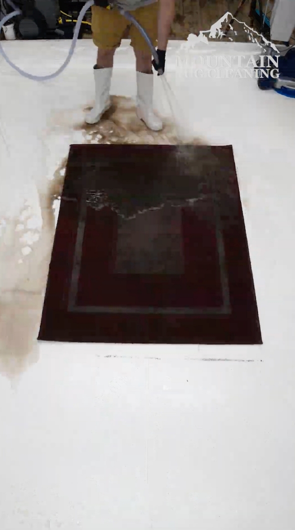 カーペット そうじ クリーニング