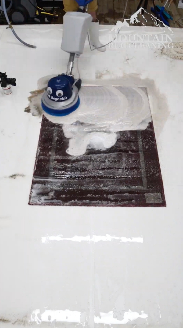 カーペット そうじ クリーニング