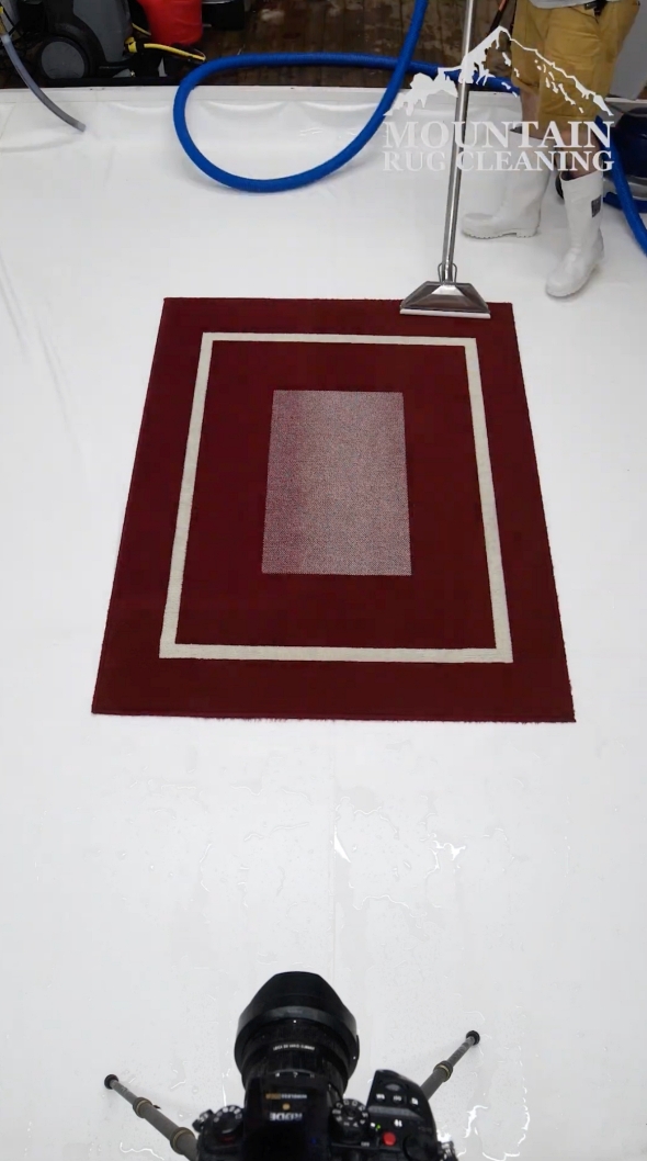 カーペット そうじ クリーニング