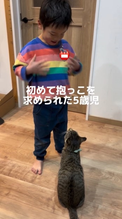 ニャンコを見つめる男の子