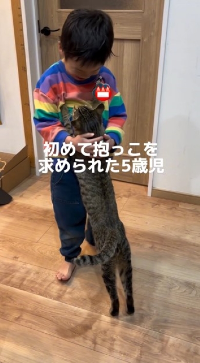 男の子に飛びつくニャンコ
