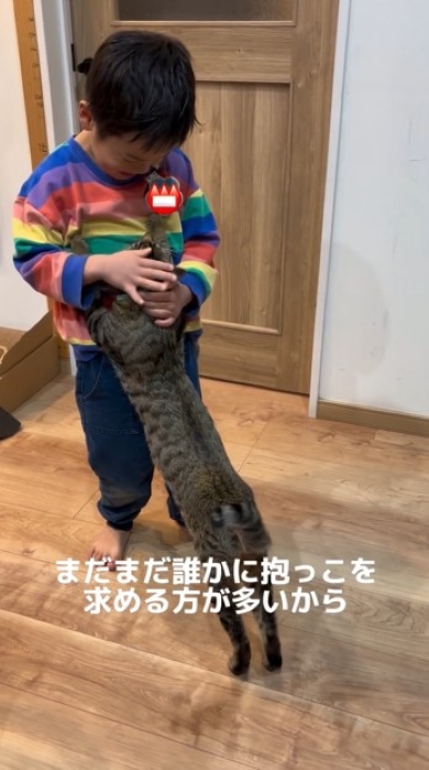 ニャンコをなでる男の子