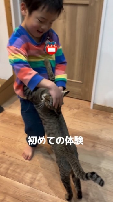 ニャンコをなでる男の子