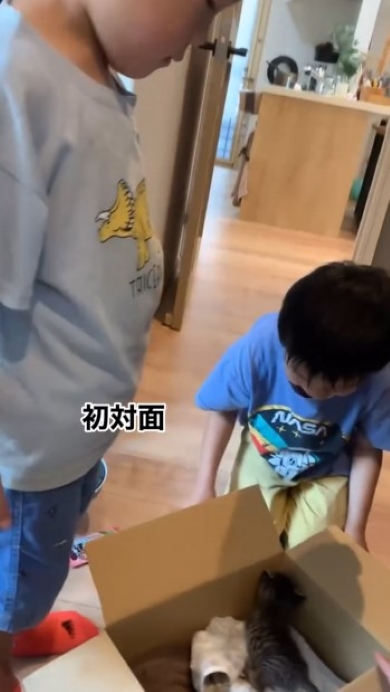 猫と初対面する兄弟