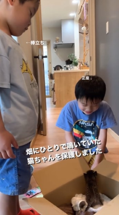 棒立ちになる男の子