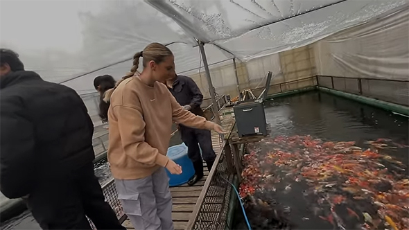 錦鯉にエサをあげる外国人女性