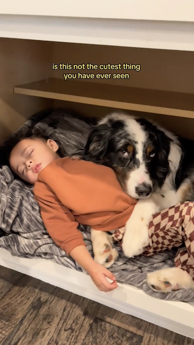 娘を抱きしめる愛犬