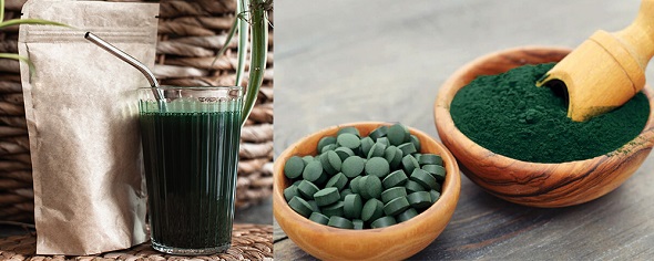 DIC　フラミンゴはなぜ赤いのか　藻