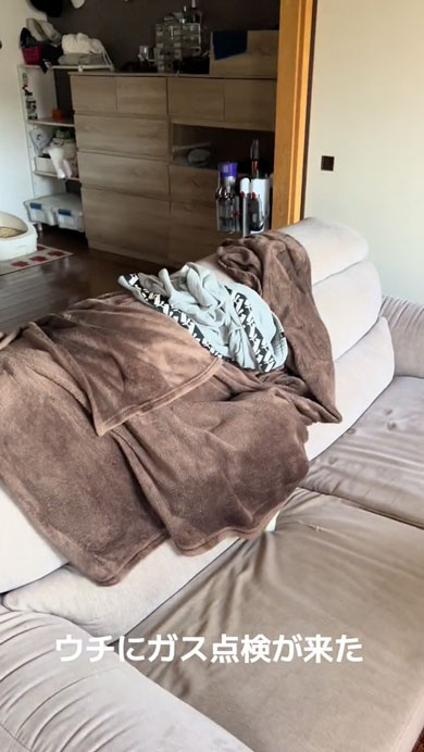 業者さんがきて隠れる猫