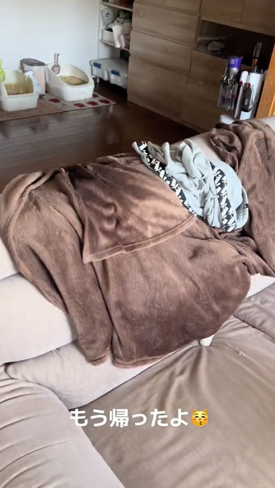 業者さんがきて隠れる猫