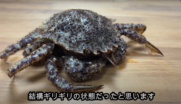 スーパーで売れ残っていたカニ