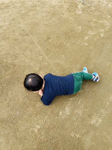 地面にころがる