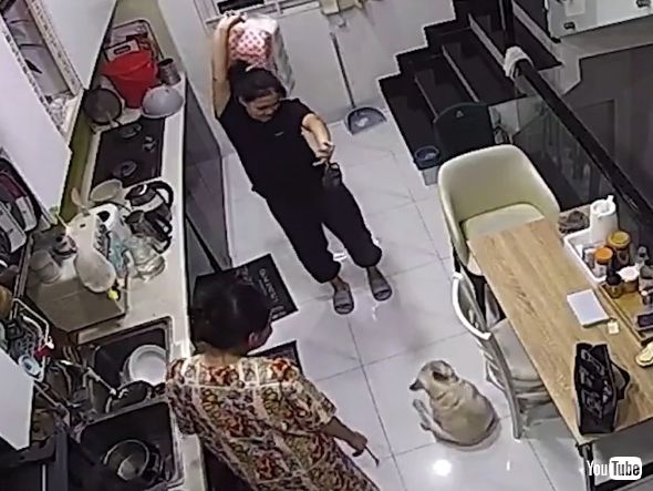 飼い主と一緒に踊る犬