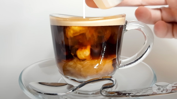 タイムラプス 観察 コーヒー