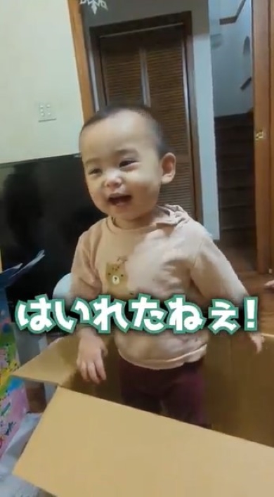 段ボールに入った女の子