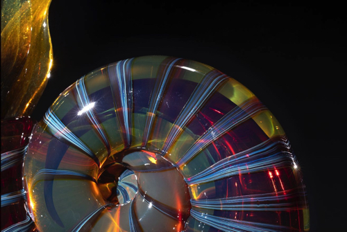 ガラス細工のアンモナイト