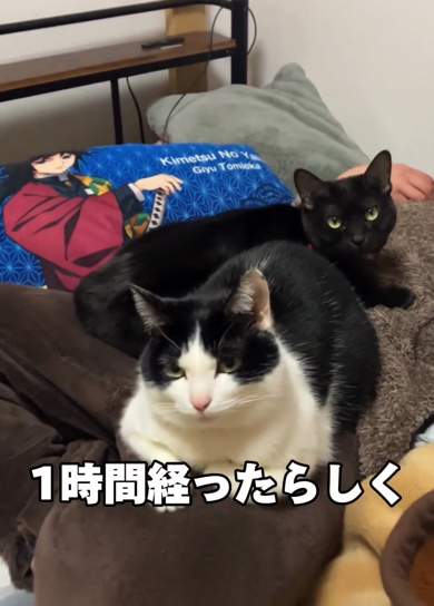 同じ体勢を1時間続けている長女