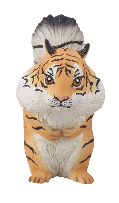 トラんすふぉーむ