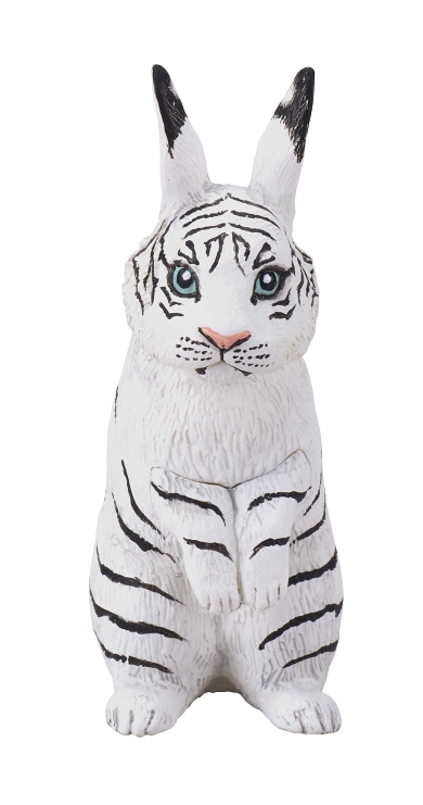 トラんすふぉーむ