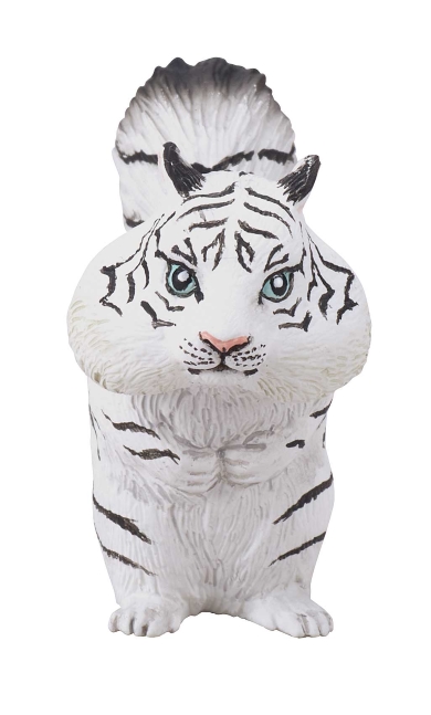 トラんすふぉーむ