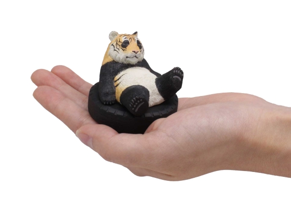 トラんすふぉーむ