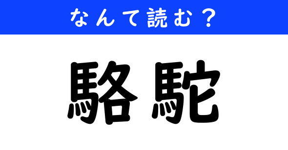 漢字クイズ　難読漢字　駱駝