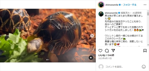 大倉士門が飼っているホウシャガメ