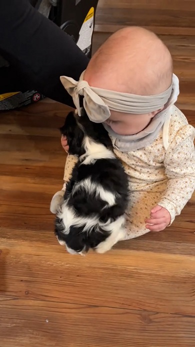 自分に体をくっつけてきた子犬の相手をする赤ちゃん